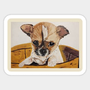 Chihuahua baby Sticker